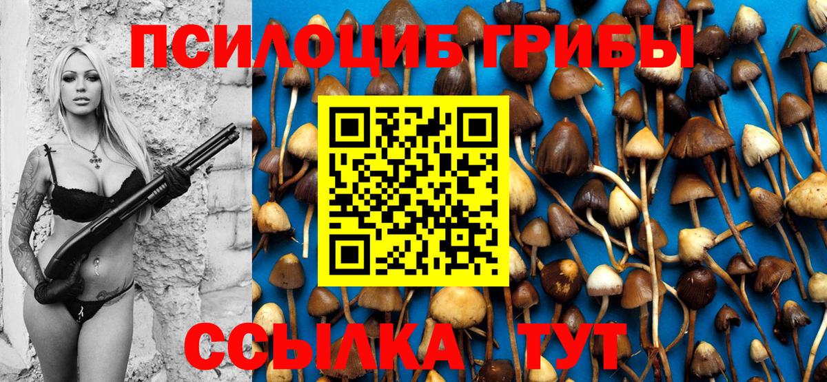 Галлюциногенные грибы ЛСД Хабаровск